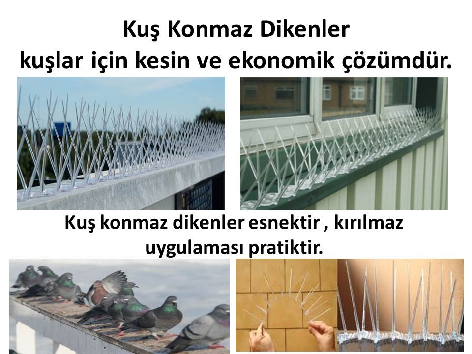 www ankaraplastik net kus kondurmaz diken